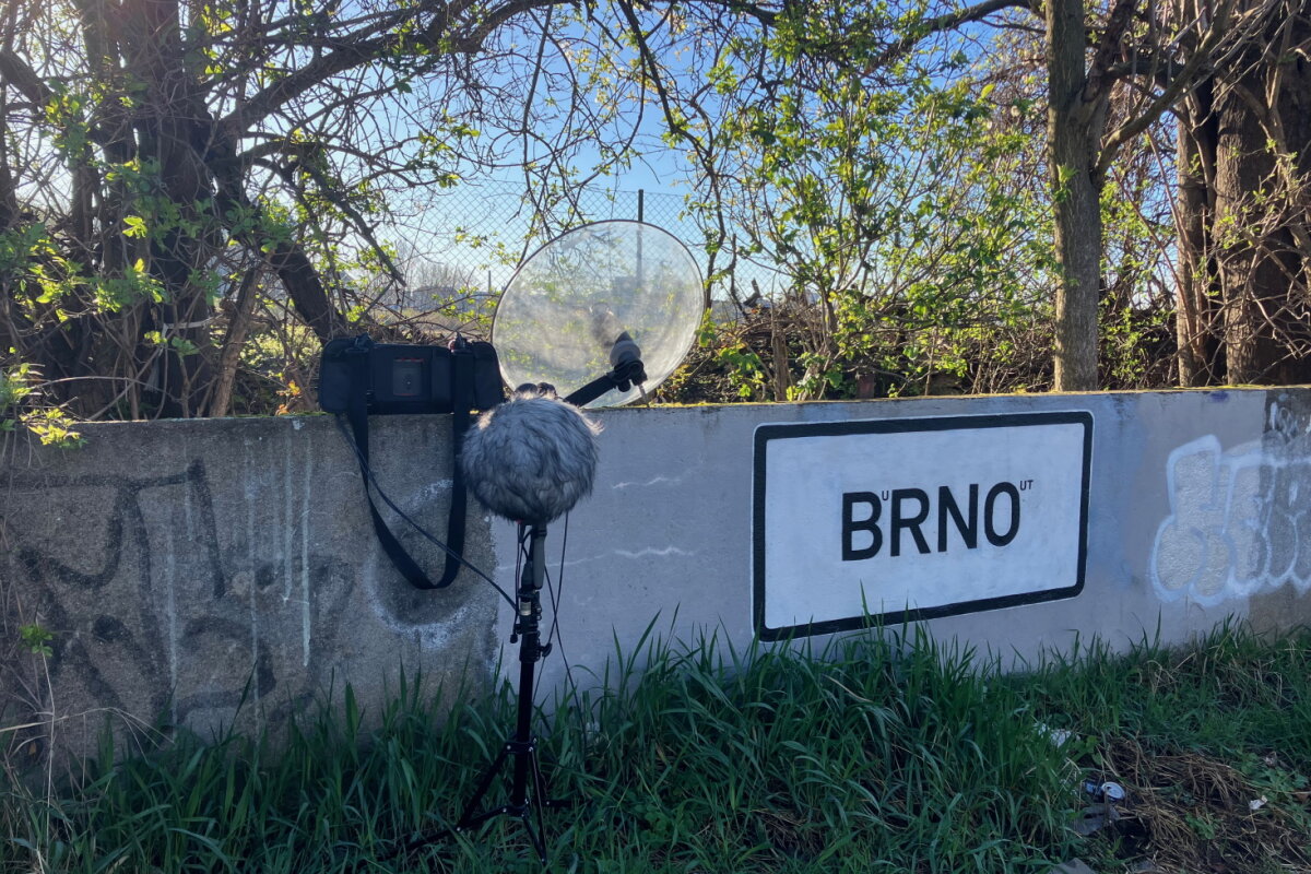 Soundscapes of Brno, Human And Non-Human Sounds